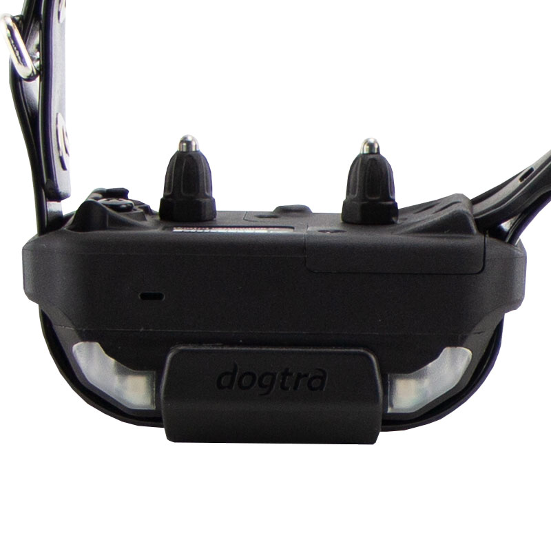Pathfinder SE Collar Front Detail