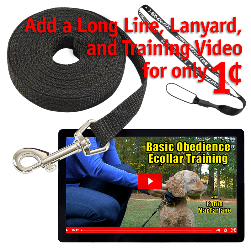 Penny Video and Long Line Bundle