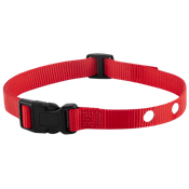  shop PetSafe Replacement Collar Strap RFA-41-1