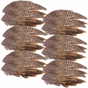 Pheasant Wings -- 12 Pack