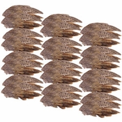 Pheasant Wings -- 24 Pack