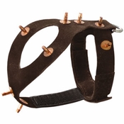 Pigeon Harness - Suede Spiked #7492
