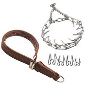  shop Pinch Collars  / Force Training Collars