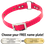 PINK 1 in. SunGlo O-Ring Collar