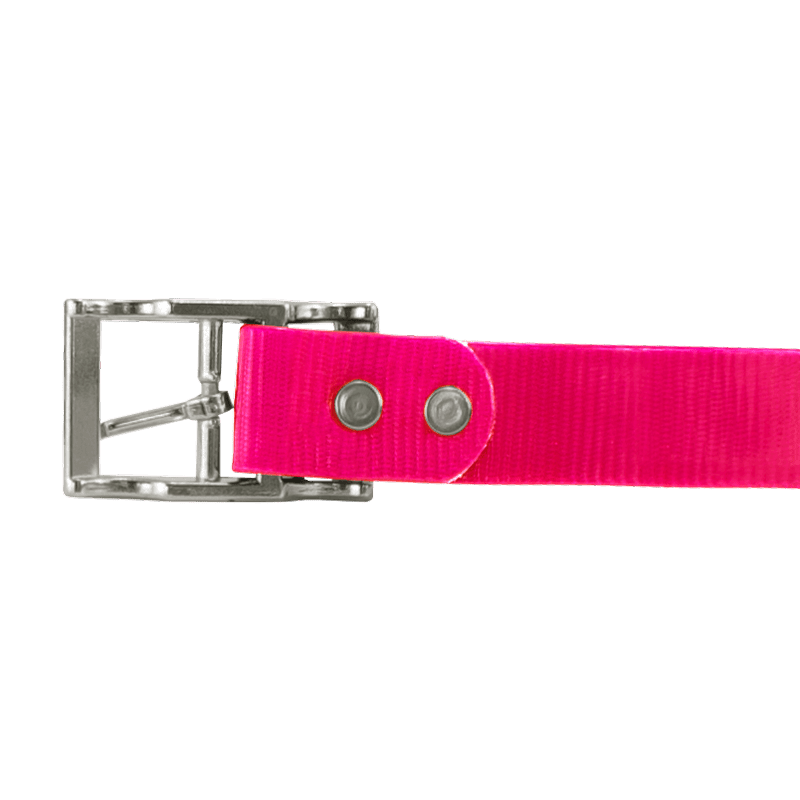 PINK 1 in. SunGlo Center Ring Collar Buckle Rivet