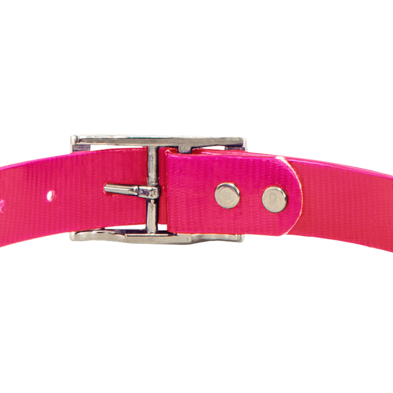 PINK 1 in. SunGlo Center Ring Collar Buckle Back