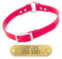 PINK 3/4 in. O-Ring SunGlo Collar