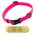 PINK LONG 3/4 in. QUICK DAWG Nylon Quick Release Collar