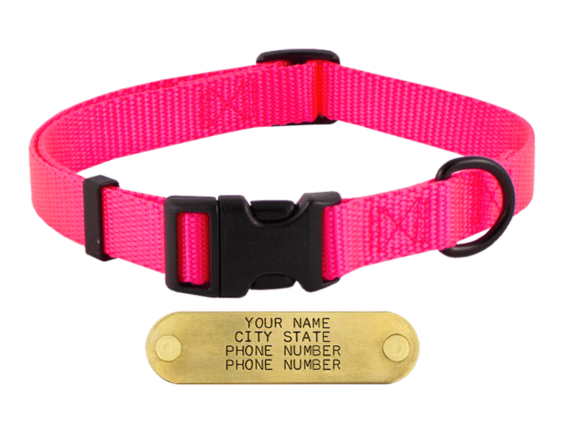 Olive Quick Release Collar main image 0