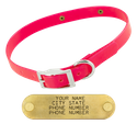 PINK 3/4 in. SunGlo Standard Collar