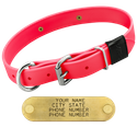 HOT PINK BIG DAWG 1 in. Biothane D-End Collar