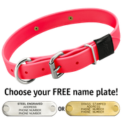  shop HOT PINK BIG DAWG 1 in. Biothane D-End Collar