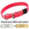 HOT PINK BIG DAWG 1 in. Biothane D-End Collar
