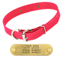 PINK 1 in. SunGlo D-End Collar