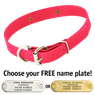 PINK 1 in. SunGlo D-End Collar