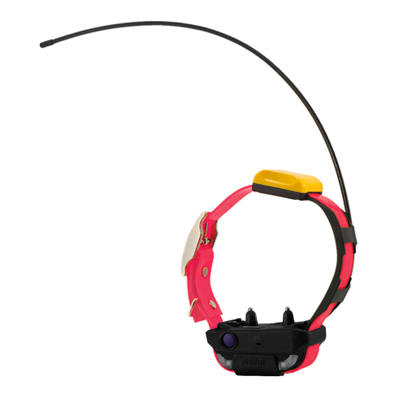 Pink Dogtra Pathfinder 2 Collar