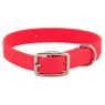 HOT PINK Little Dawg Collar