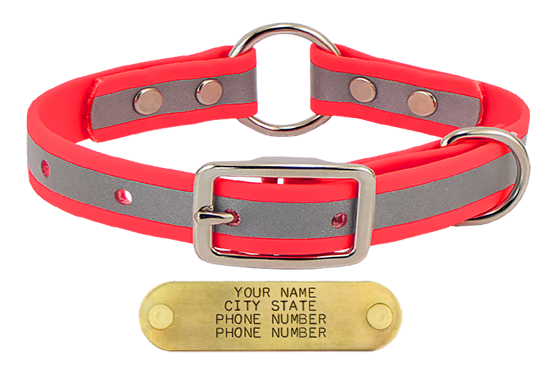 HOT PINK little dawg VISIBILITY 3/4 in. Biothane Puppy & Small Dog O