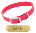 PINK 1 in. SunGlo Standard Collar