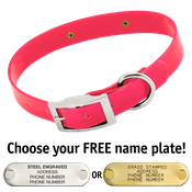  shop PINK 1 in. SunGlo Standard Collar