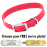 PINK 1 in. SunGlo Standard Collar
