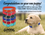 Puppy Pack FREE 13 in. little DAWG Collar