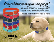  shop Puppy Pack FREE 13 in. little DAWG Collar