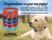 Puppy Pack FREE 13 in. little DAWG Collar