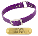 PURPLE 1 in. SunGlo O-Ring Collar