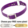 PURPLE 1 in. SunGlo O-Ring Collar