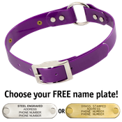  shop PURPLE 1 in. SunGlo O-Ring Collar