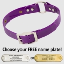 PURPLE 1 in. SunGlo O-Ring Collar