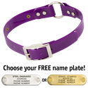 PURPLE 1 in. SunGlo O-Ring Collar