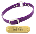 PURPLE 3/4 in. O-Ring SunGlo Collar