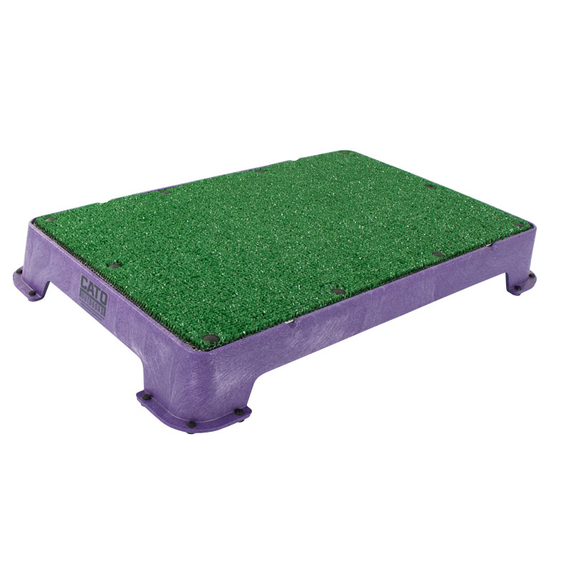 Purple Catoboard 