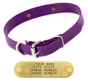 PURPLE 1 in. SunGlo D-End Collar