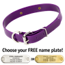 PURPLE 1 in. SunGlo D-End Collar