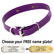  shop PURPLE 1 in. SunGlo D-End Collar