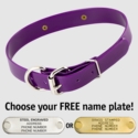 PURPLE 1 in. SunGlo D-End Collar