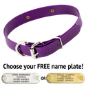 PURPLE 1 in. SunGlo D-End Collar