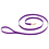 PURPLE Nylon 5/8 in. x 6 ft. Lead