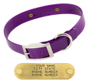 PURPLE 1 in. SunGlo Standard Collar