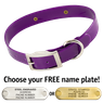 PURPLE 1 in. SunGlo Standard Collar