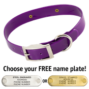  shop PURPLE 1 in. SunGlo Standard Collar