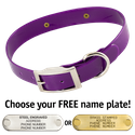 PURPLE 1 in. SunGlo Standard Collar