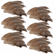 Quail Wings -- 12 Pack