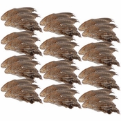 Quail Wings -- 24 Pack
