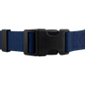 Quick Dawg Nylon Collar Front Buckle Detail