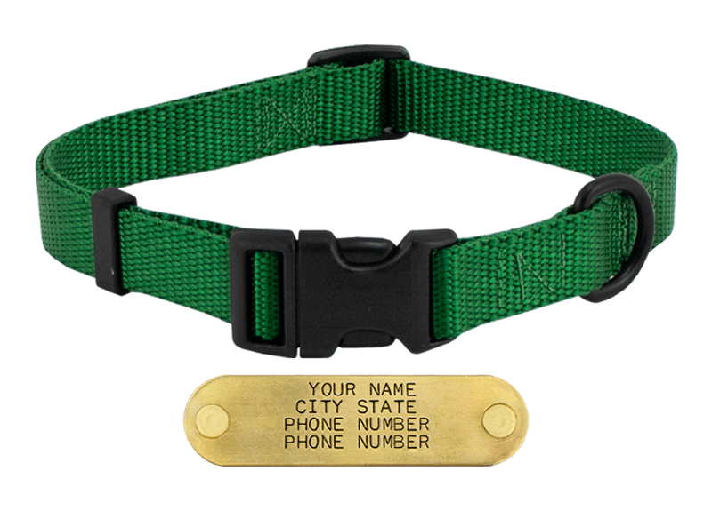 KELLY GREEN LONG 3/4 in. QUICK DAWG Nylon Quick Release Collar Gun