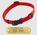 RED LONG 3/4 in. QUICK DAWG Nylon Quick Release Collar